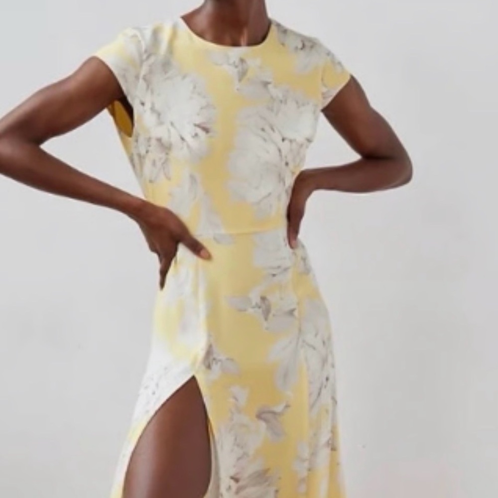 Babaton Hamptons Dress - NWT